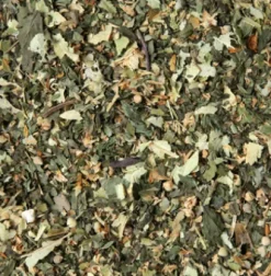 Shop Compagnie & Co Lime Blossom Mint