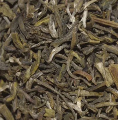 New Compagnie & Co Yunnan Green Tea